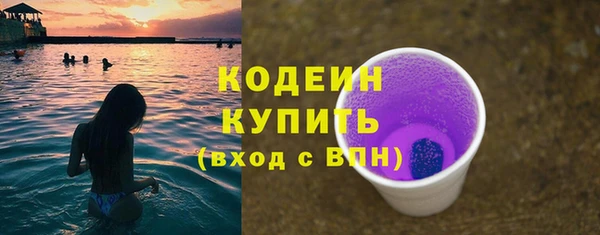мет Ельня