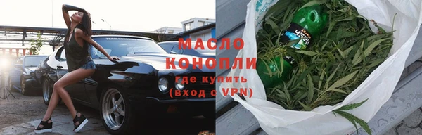 мет Ельня