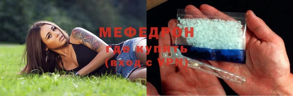индика Заводоуковск