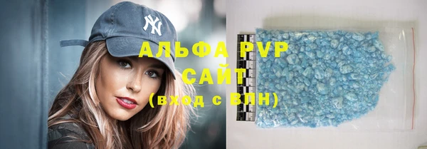 индика Заводоуковск