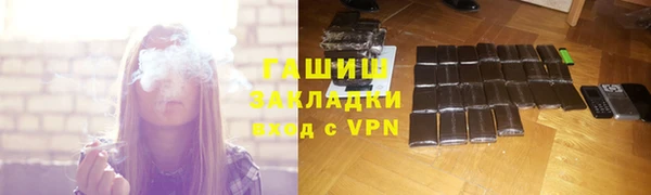 индика Заводоуковск