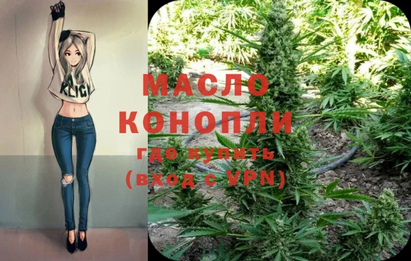 мет Ельня