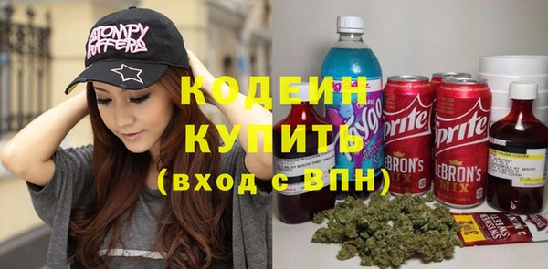 мет Ельня