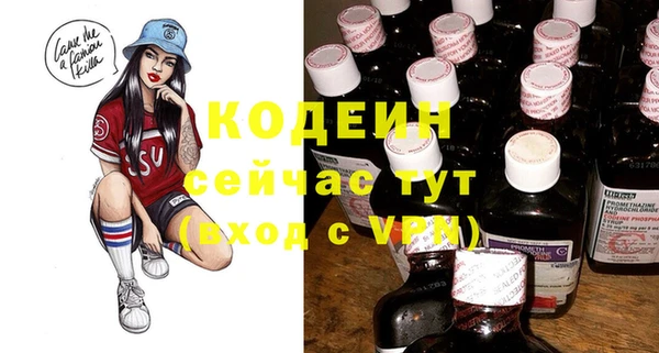 мет Ельня