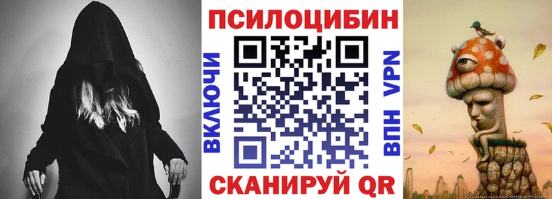 Купить закладки  Верхотурье  Псилоцибиновые грибы мицелий 